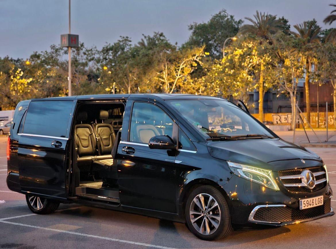 Servicio de taxi pet friendly